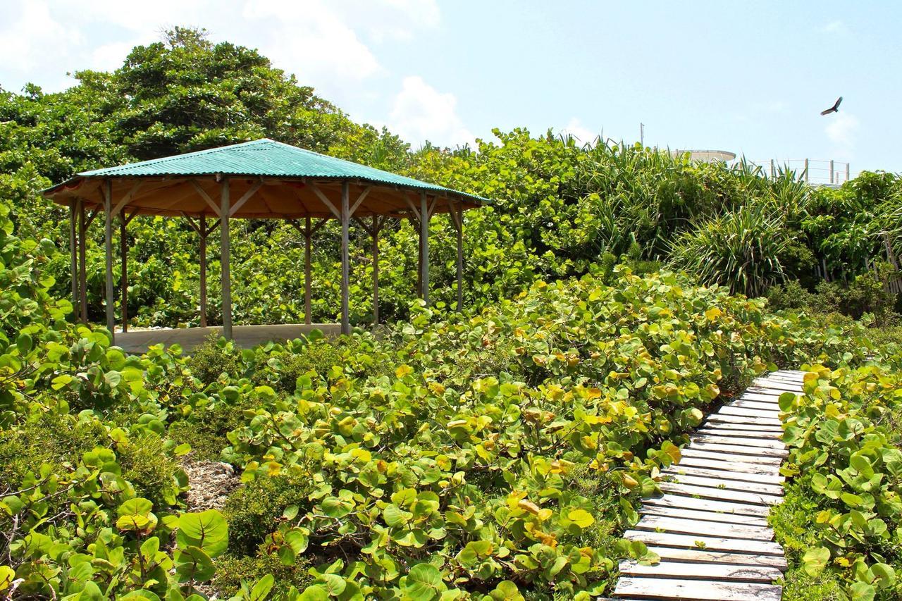 Great Huts Villa Boston Bay Екстериор снимка