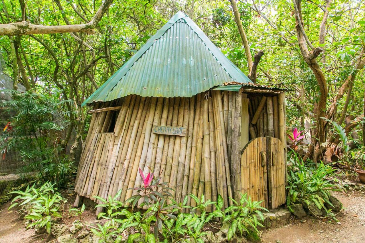 Great Huts Villa Boston Bay Екстериор снимка